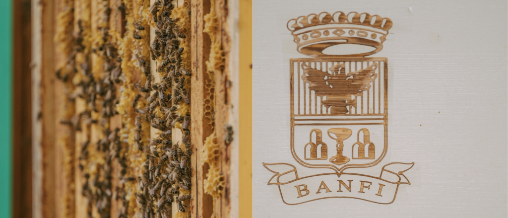 World Bee Day: Banfi Api Copertina